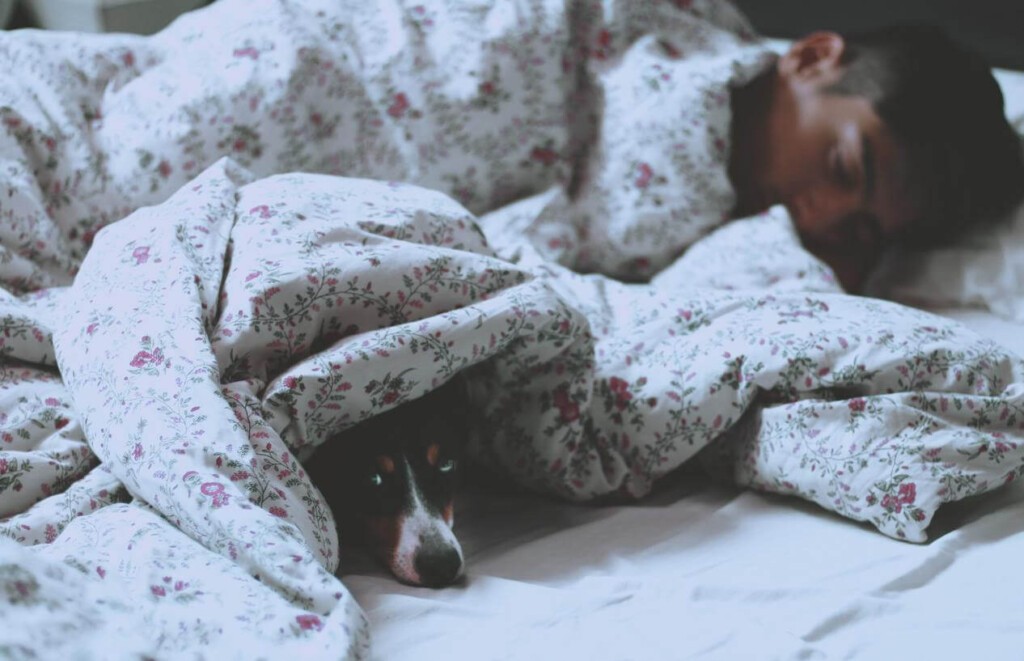 La qualité du sommeil est élément important dans le choix d'un matelas